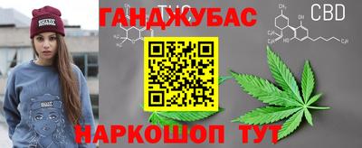 стаф Дубна