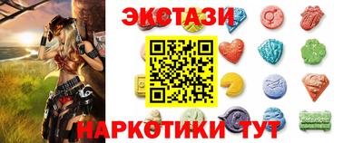 стаф Дубна