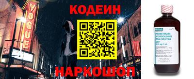 стаф Дубна