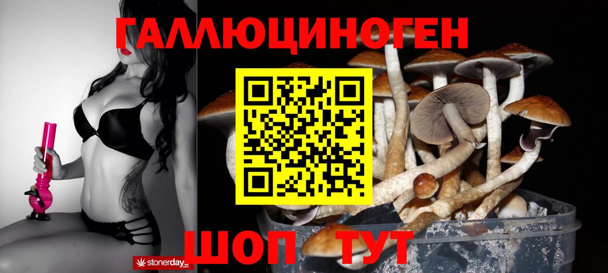 Псилоцибиновые грибы ЛСД  где купить наркоту  Минусинск  Вход с VPN 